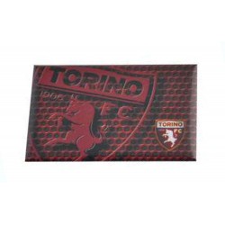 Magnete Torino FC