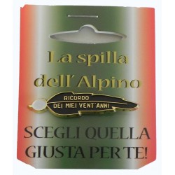 Spilla Ricoro 20 Anni Alpini