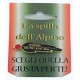 Spilla 20 Anni Ricordo Alpini