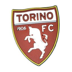 Magnete Torino FC